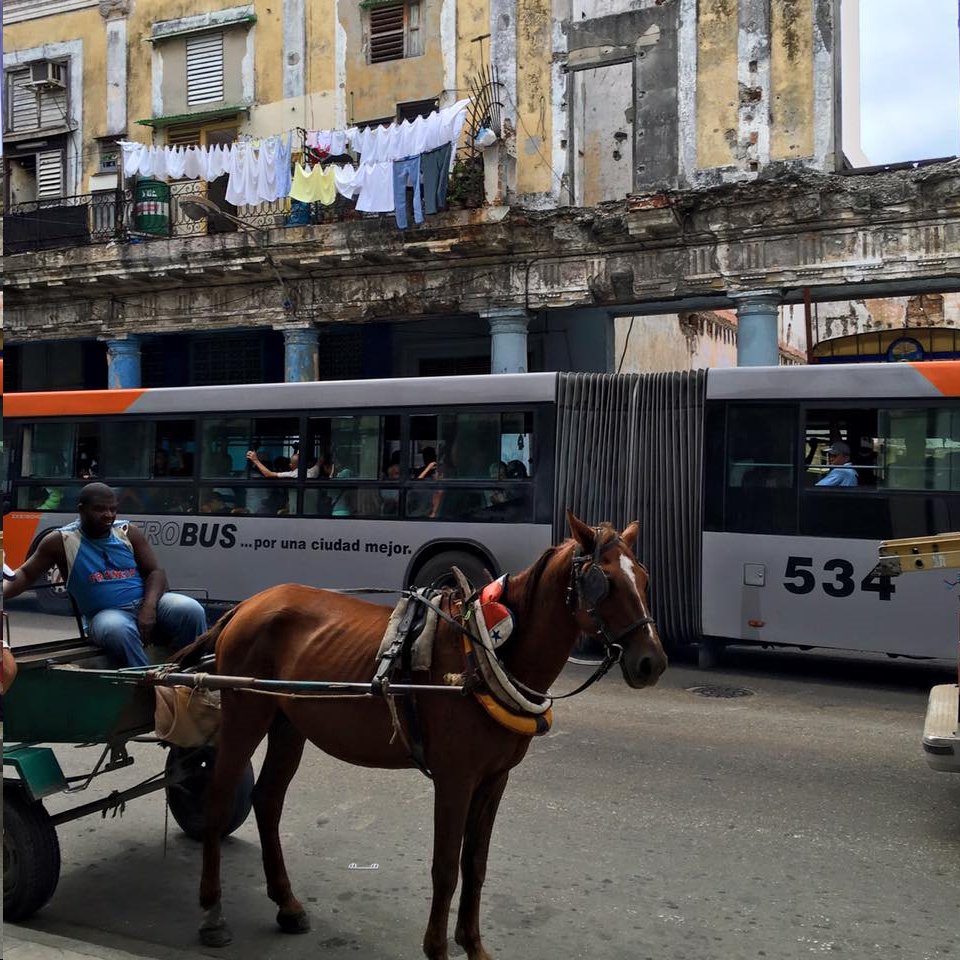 taxi_libre_armando_correa.jpg (960×960)