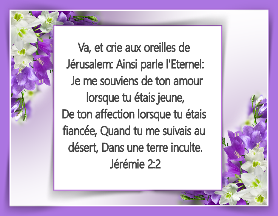 https://www.gabitos.com/JESUS_LE_BON_BERGER/images/jeremie_2.2.png