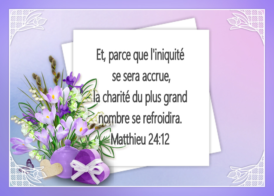 https://www.gabitos.com/JESUS_LE_BON_BERGER/images/matthieu_24.12.png