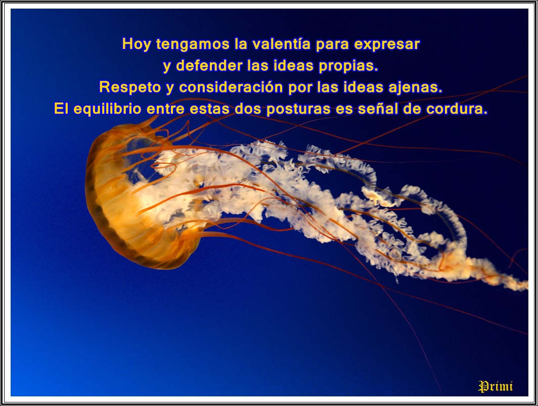 https://www.gabitos.com/Sonreir_a_los_50/images/jellyfishprimi2018.jpg