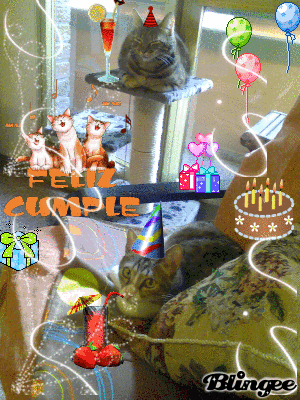 639542582_972734.gif (300×400)