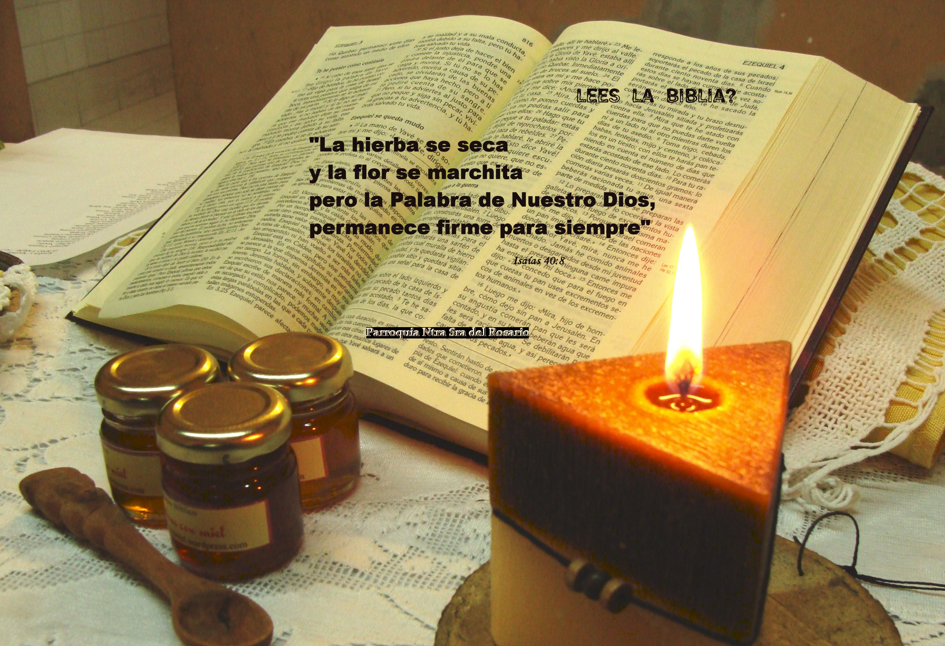 1 Juan 26 Frases De La Biblia Mensaje De Dios Oraciones Para El Alma Porn Sex Picture 0015