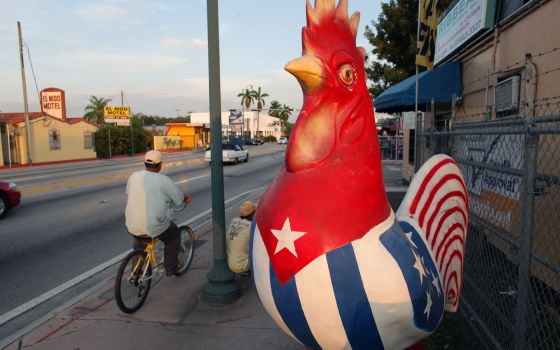 calle_8_gallo_cubano_miami.jpg (560×350)